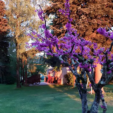 度假居 Jardin De Pomarede Prigonrieux